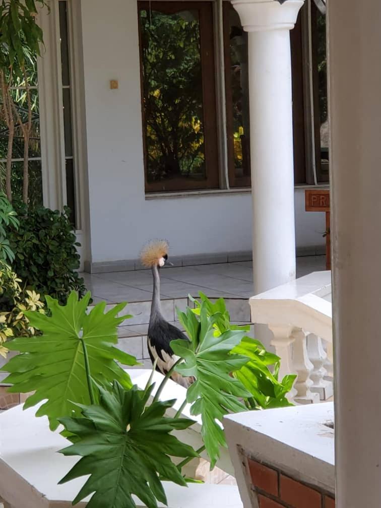 Kiriri Residence Hotel Μπουζουμπούρα Εξωτερικό φωτογραφία
